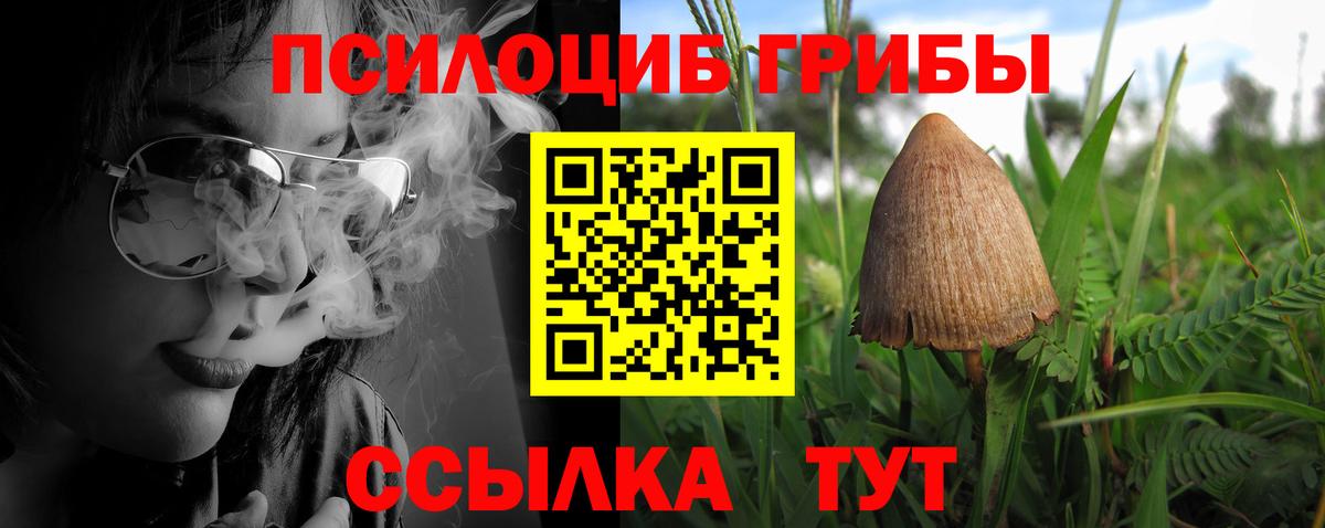 Миасс  Галлюциногенные грибы ЛСД  Вход с VPN 